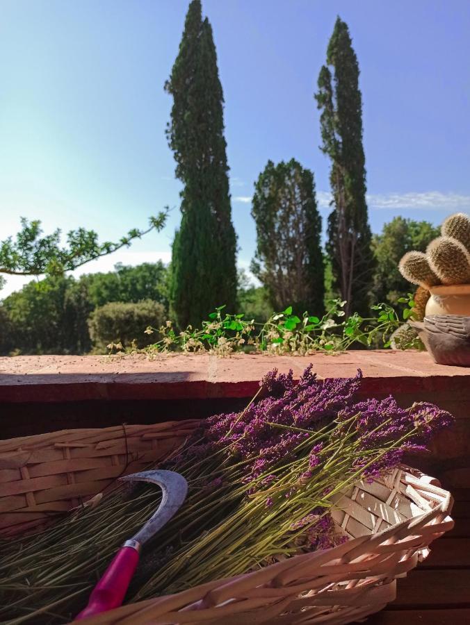 Agriturismo Podere Le Palaie Monterotondo  Exterior foto