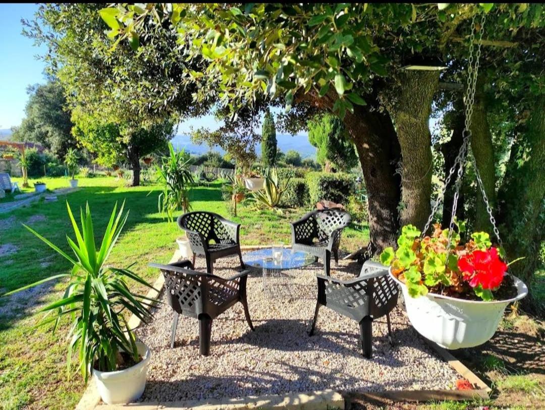 Agriturismo Podere Le Palaie Monterotondo  Exterior foto