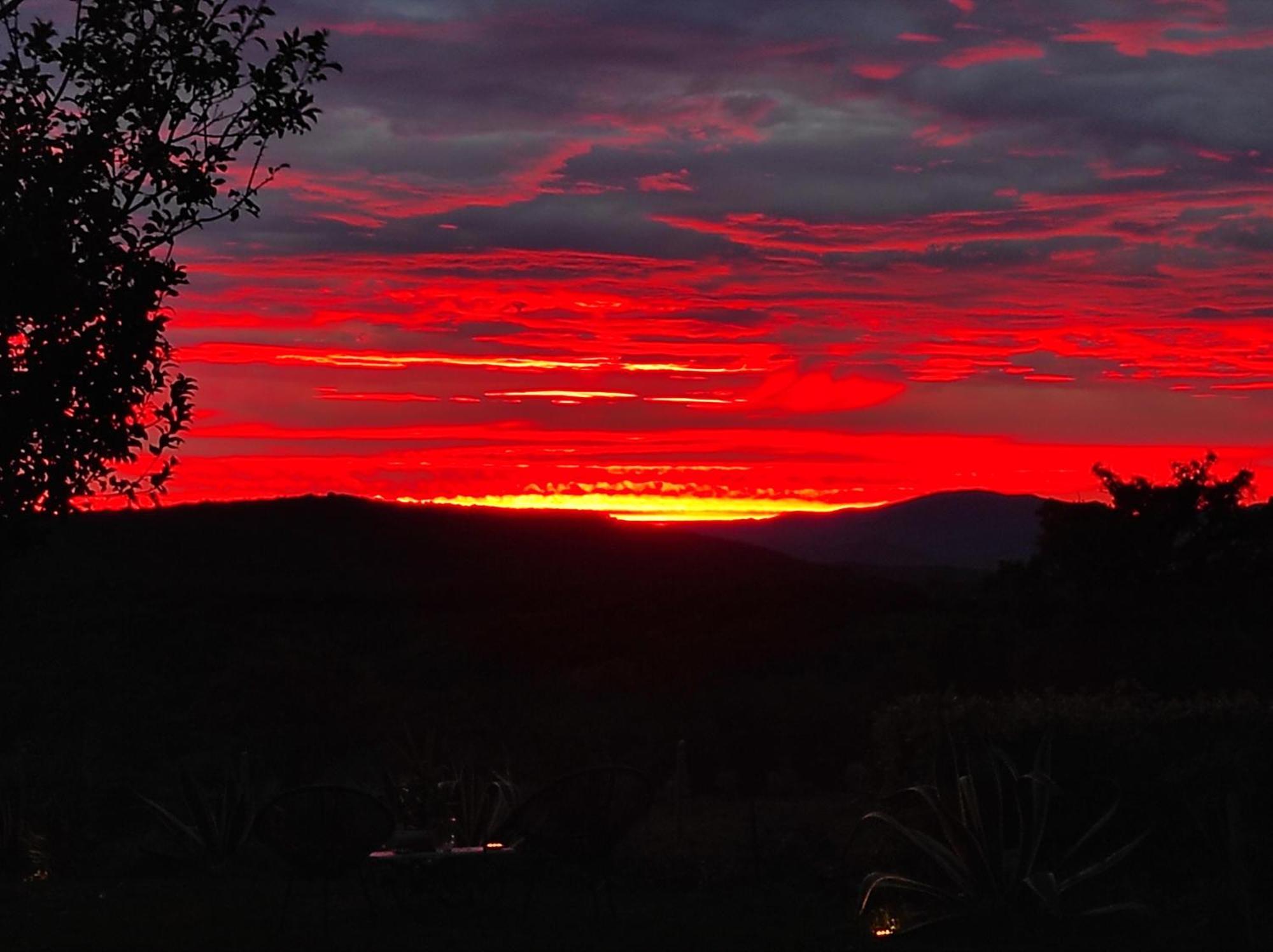 Agriturismo Podere Le Palaie Monterotondo  Zimmer foto