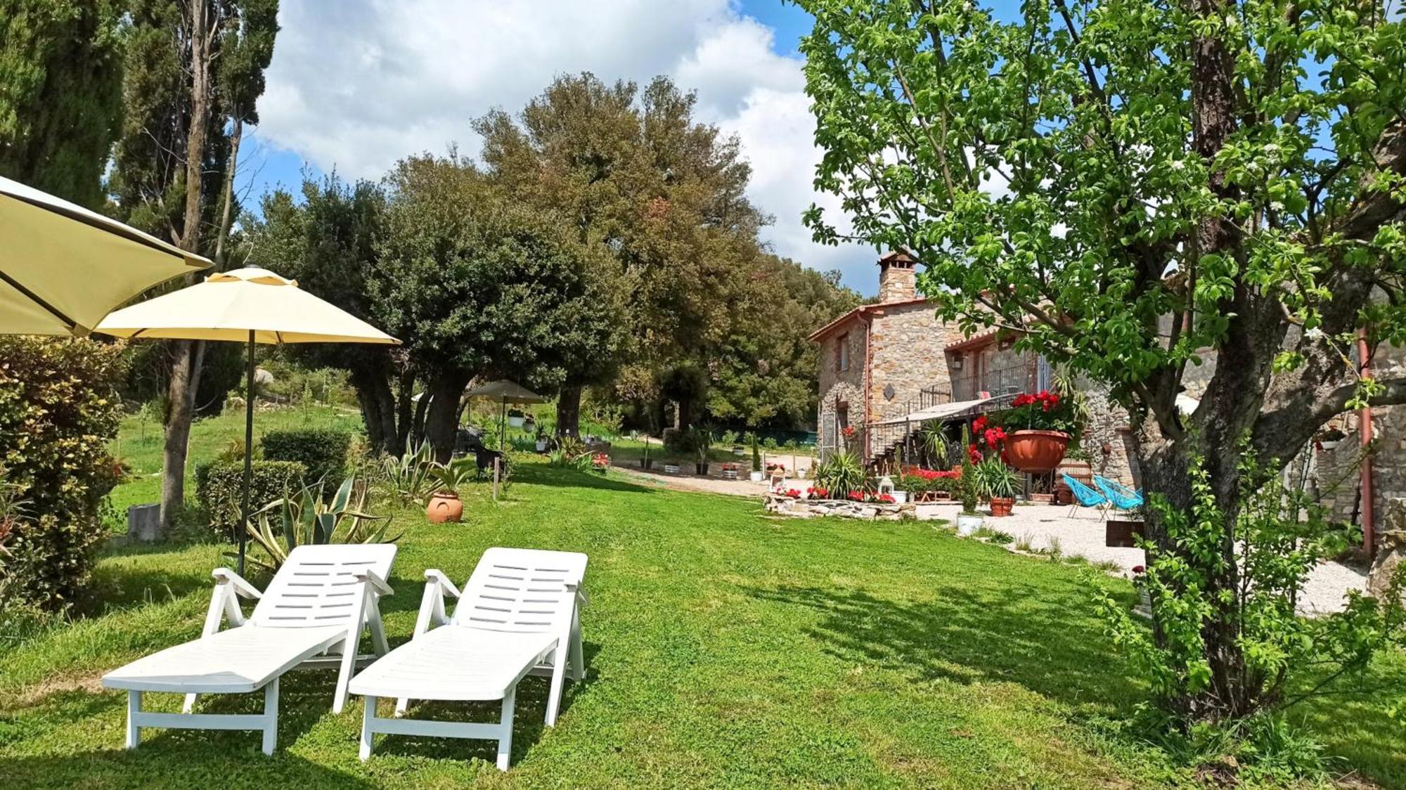 Agriturismo Podere Le Palaie Monterotondo  Zimmer foto